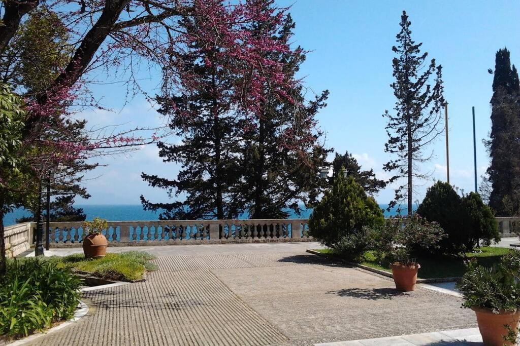Bright Newly Renovated Apt Near Beach & Center+Ac Ανεμόμυλος Εξωτερικό φωτογραφία